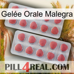 Gelée Orale Malegra 19